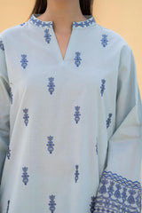 DAINA LAWM 2PC ( FARSHI SHALWAR)